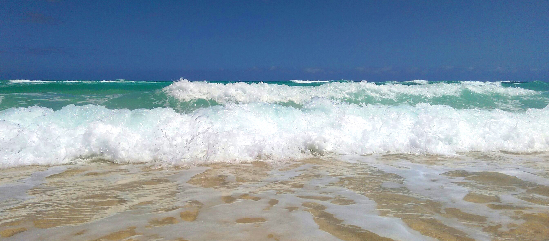 Ocean